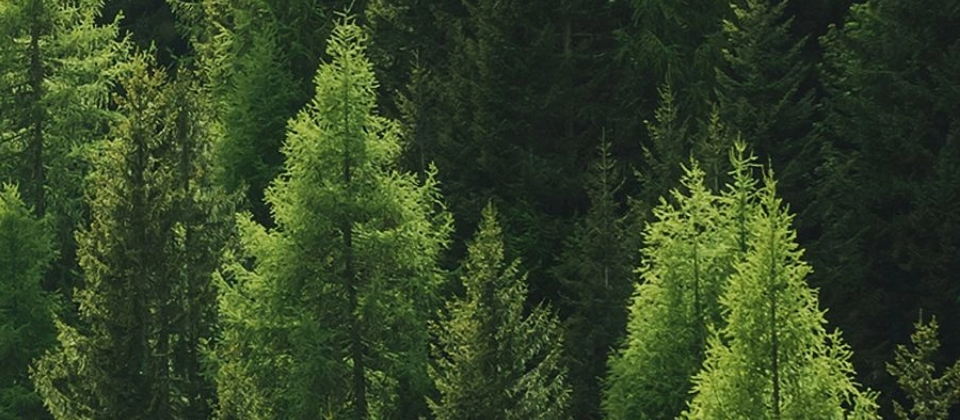 HKC was once again awarded the "National Green Factory", and the road of sustainable development is getting wider and wider